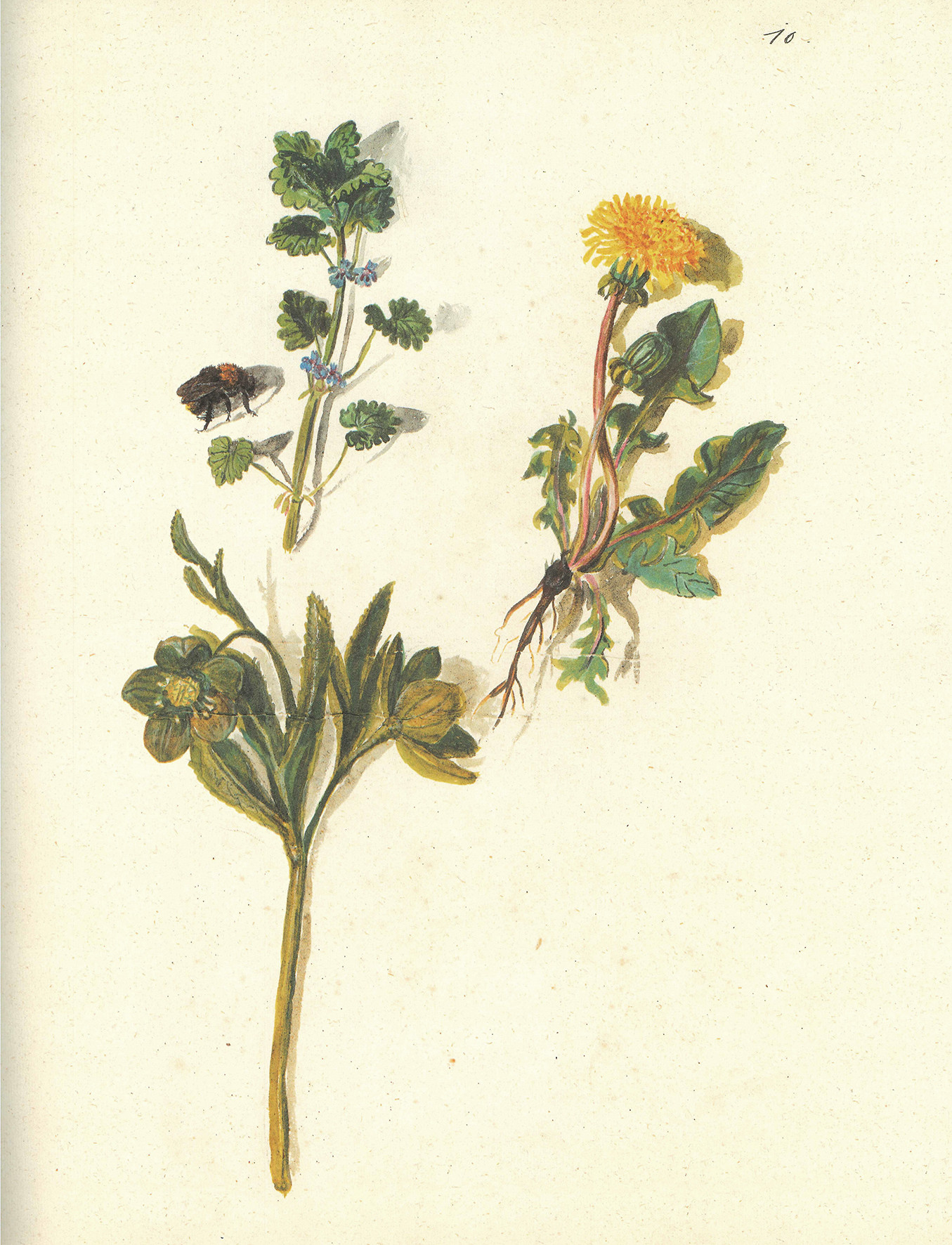 Pomlad v Iconotheci Valvasoriani