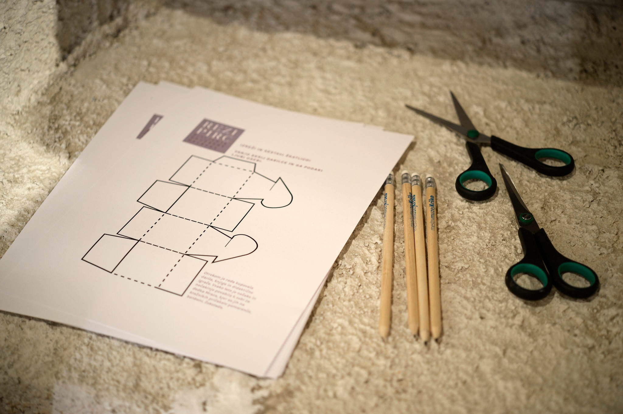 Rezi Pirc: Življenje družbene delavke