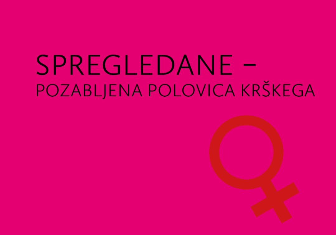 Spregledane - pozabljena polovica Krškega