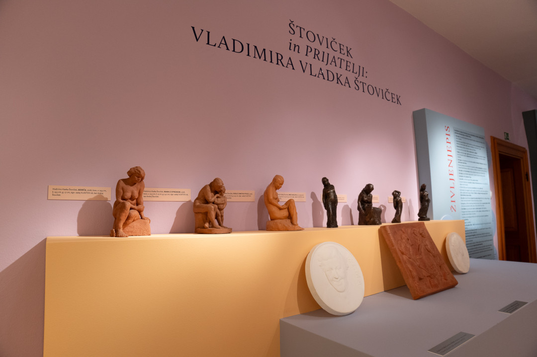 Štoviček in prijatelji: Vladimira Vladka Štoviček