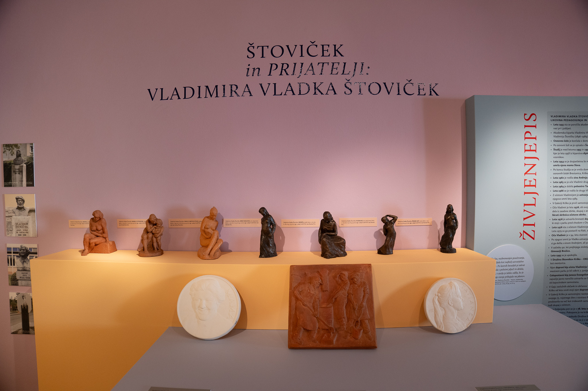 Štoviček in prijatelji: Vladimira Vladka Štoviček