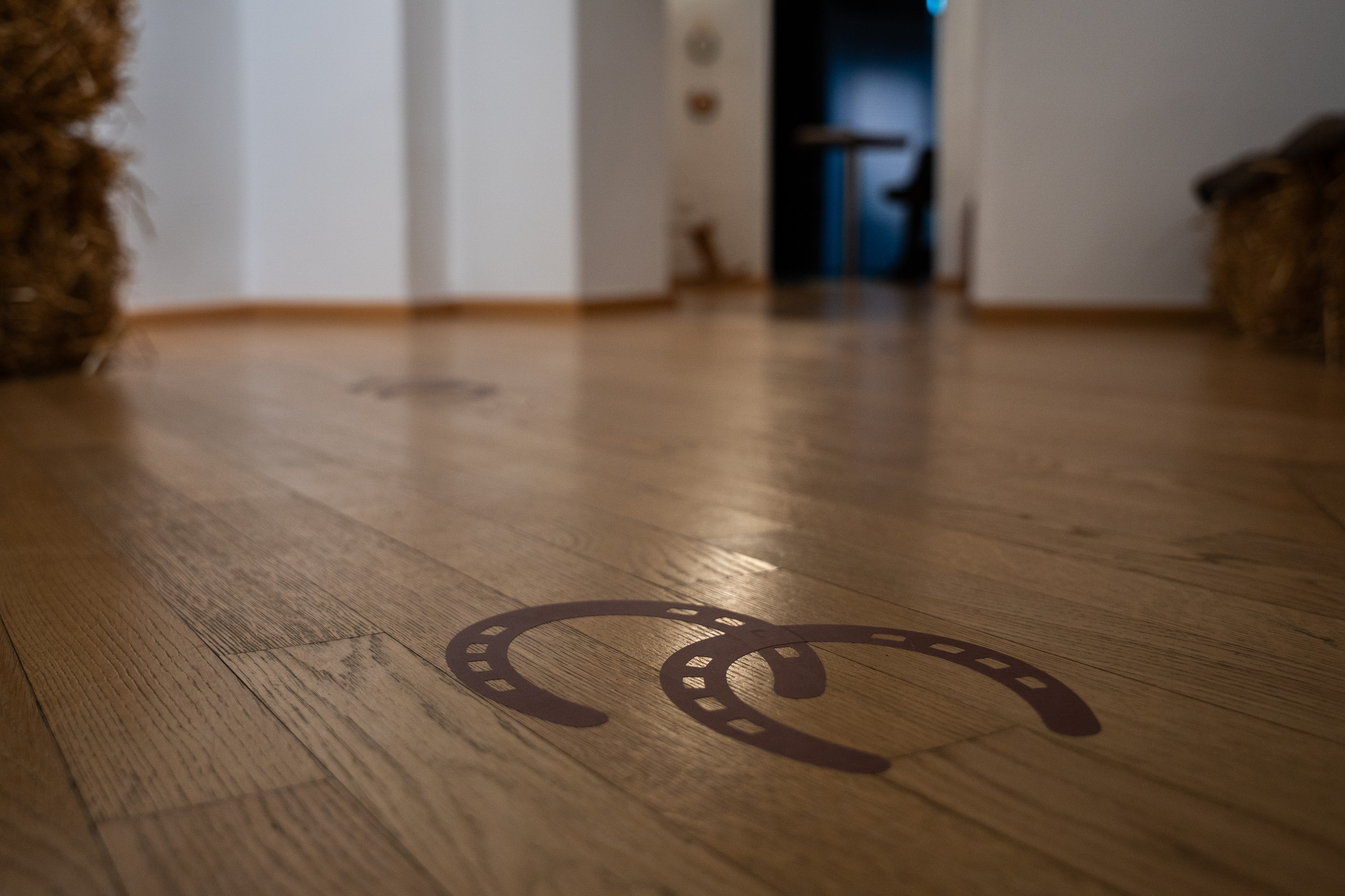 V ritmu kasa I 100 let posavske konjeniške dediščine