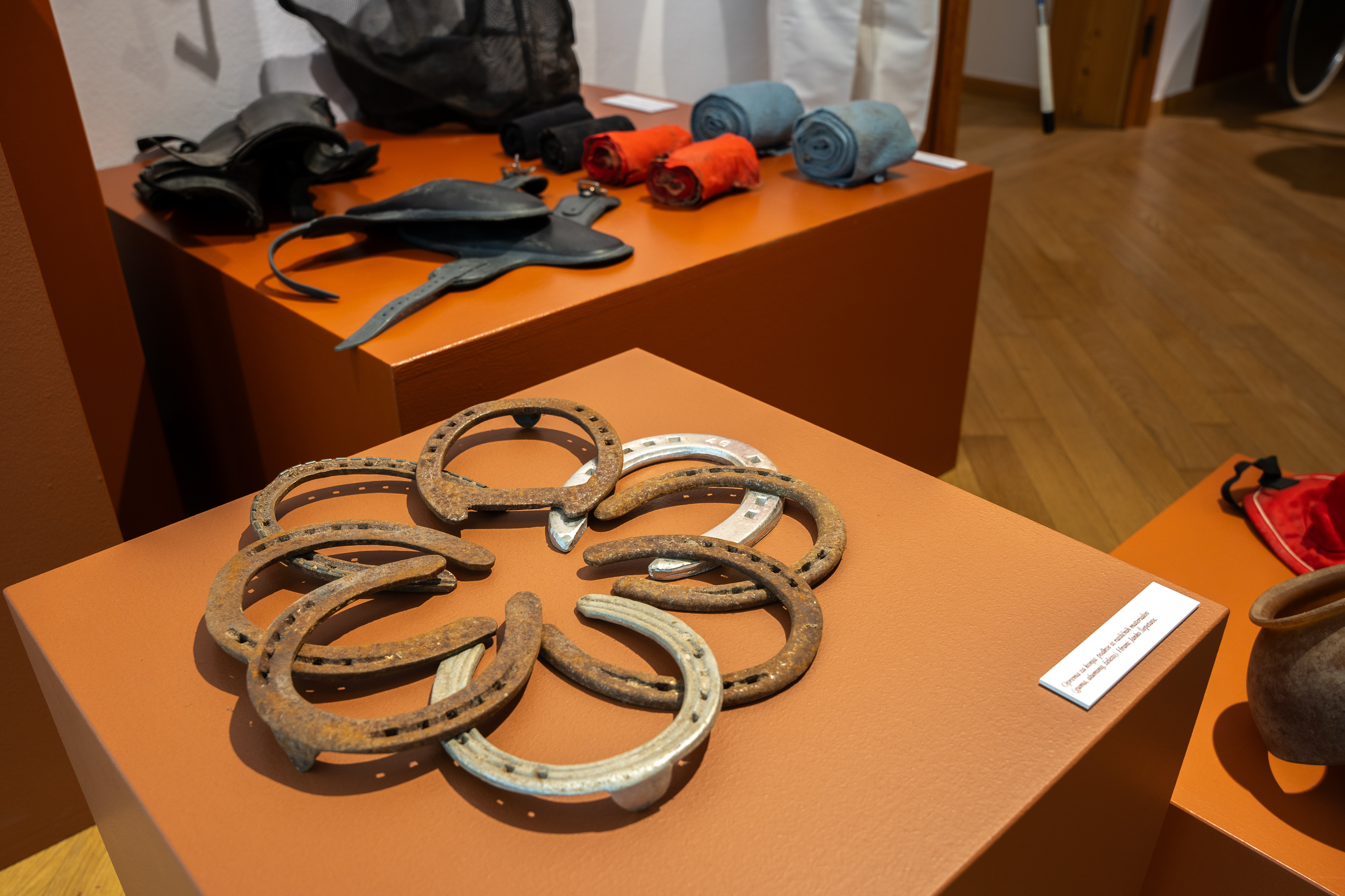 V ritmu kasa I 100 let posavske konjeniške dediščine