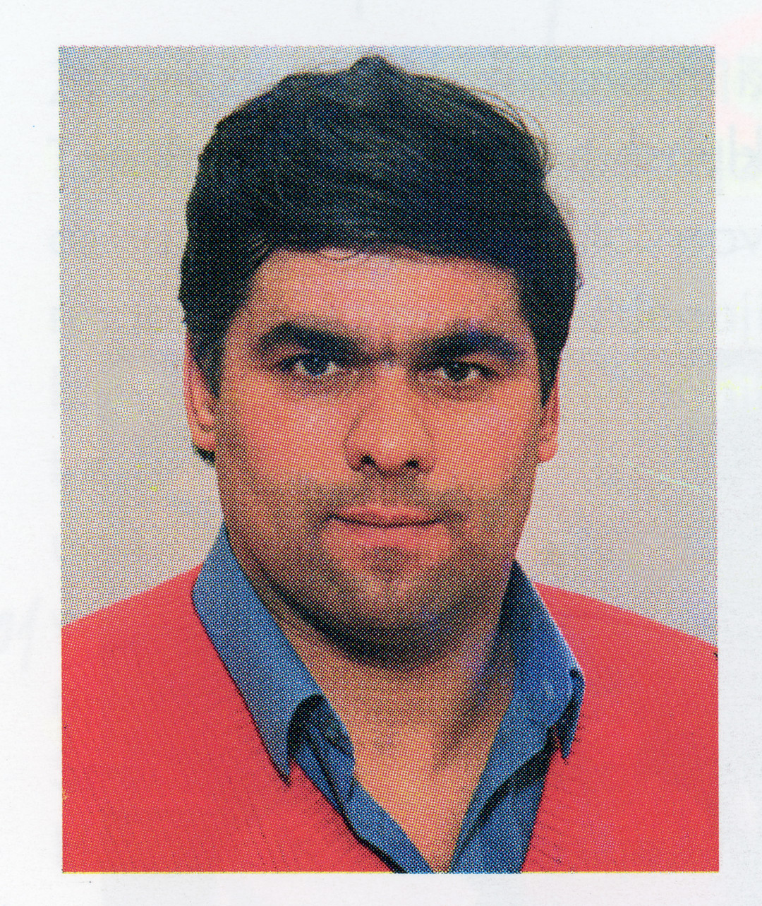 Portret Vinka Pirca.
