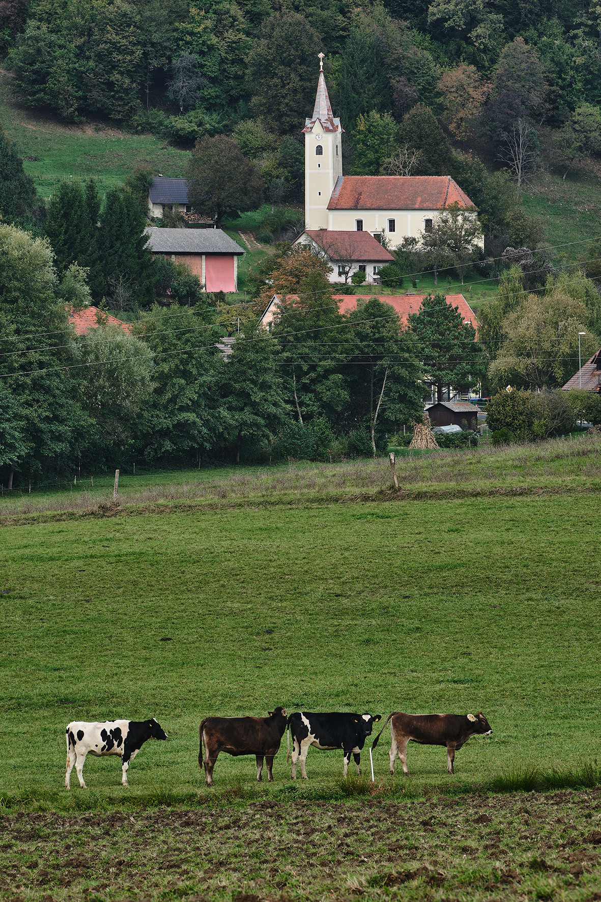 Stojan Škoda