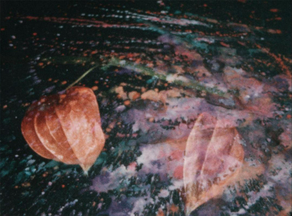 Ali je bilo kaj avantgardnega?