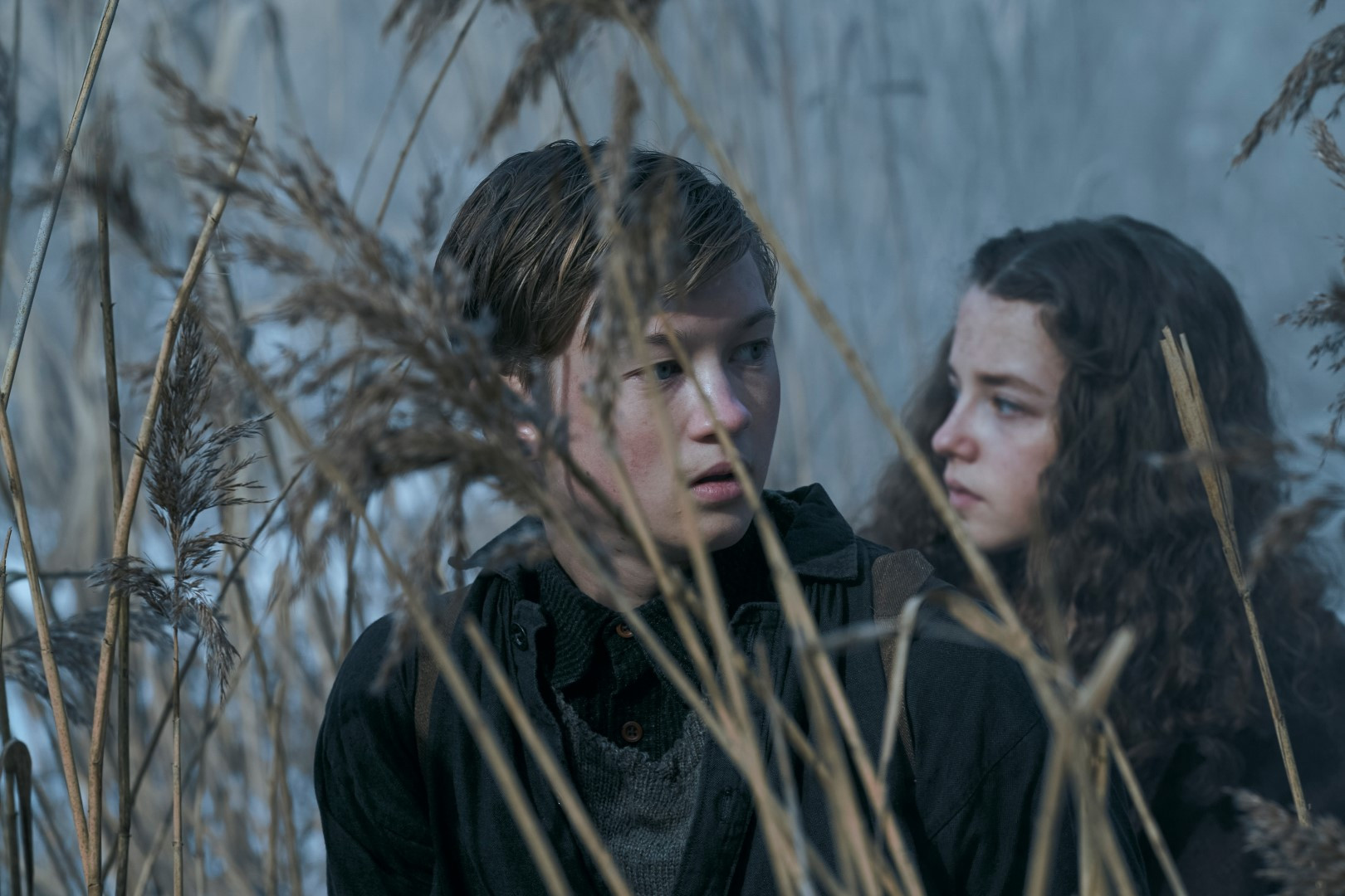 Bela golobica: Čudežna zgodba