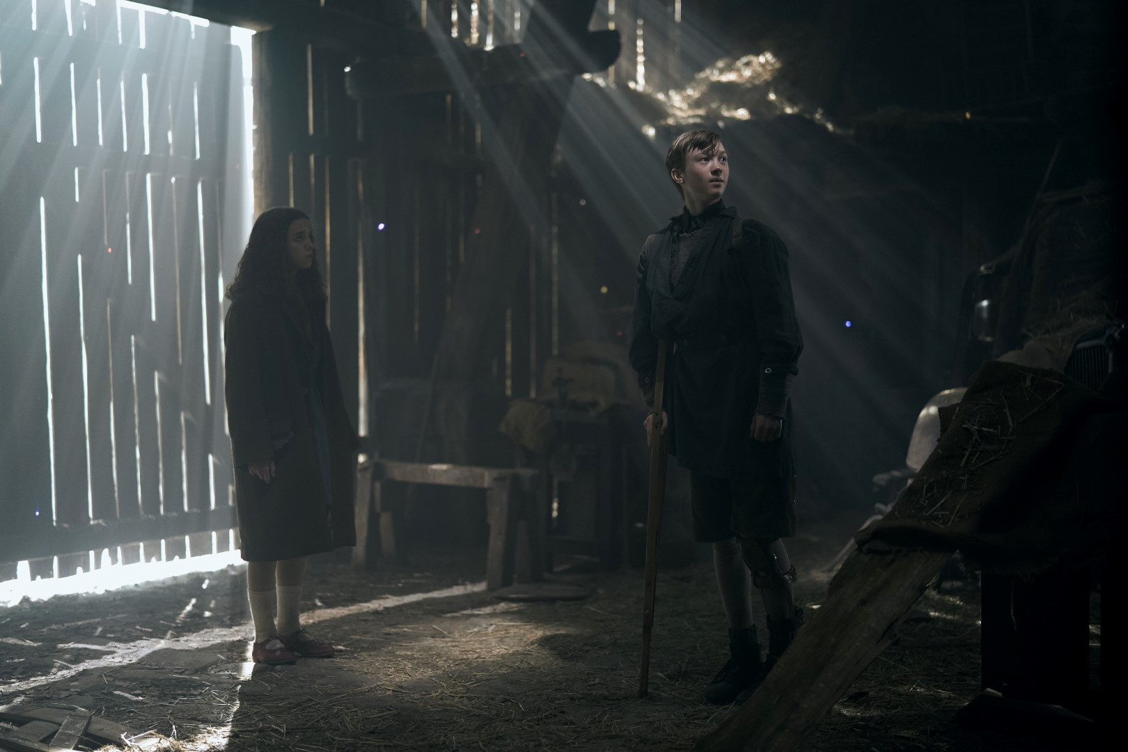 Bela golobica: Čudežna zgodba