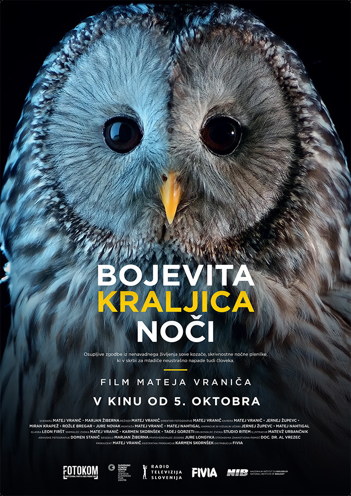 Bojevita kraljica noči