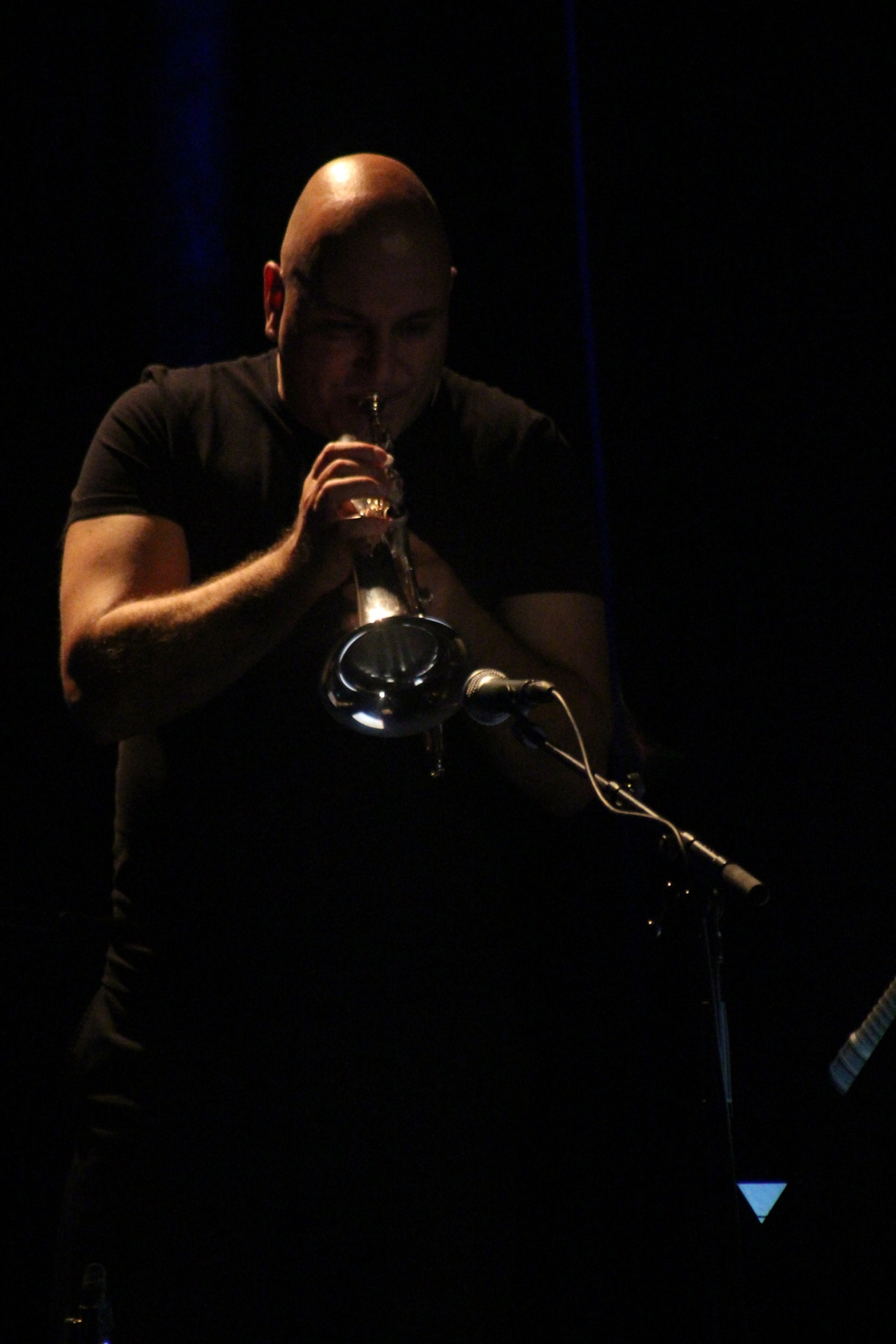 Boštjan Gombač & Janez Dovč: Sozvočje Slovenije