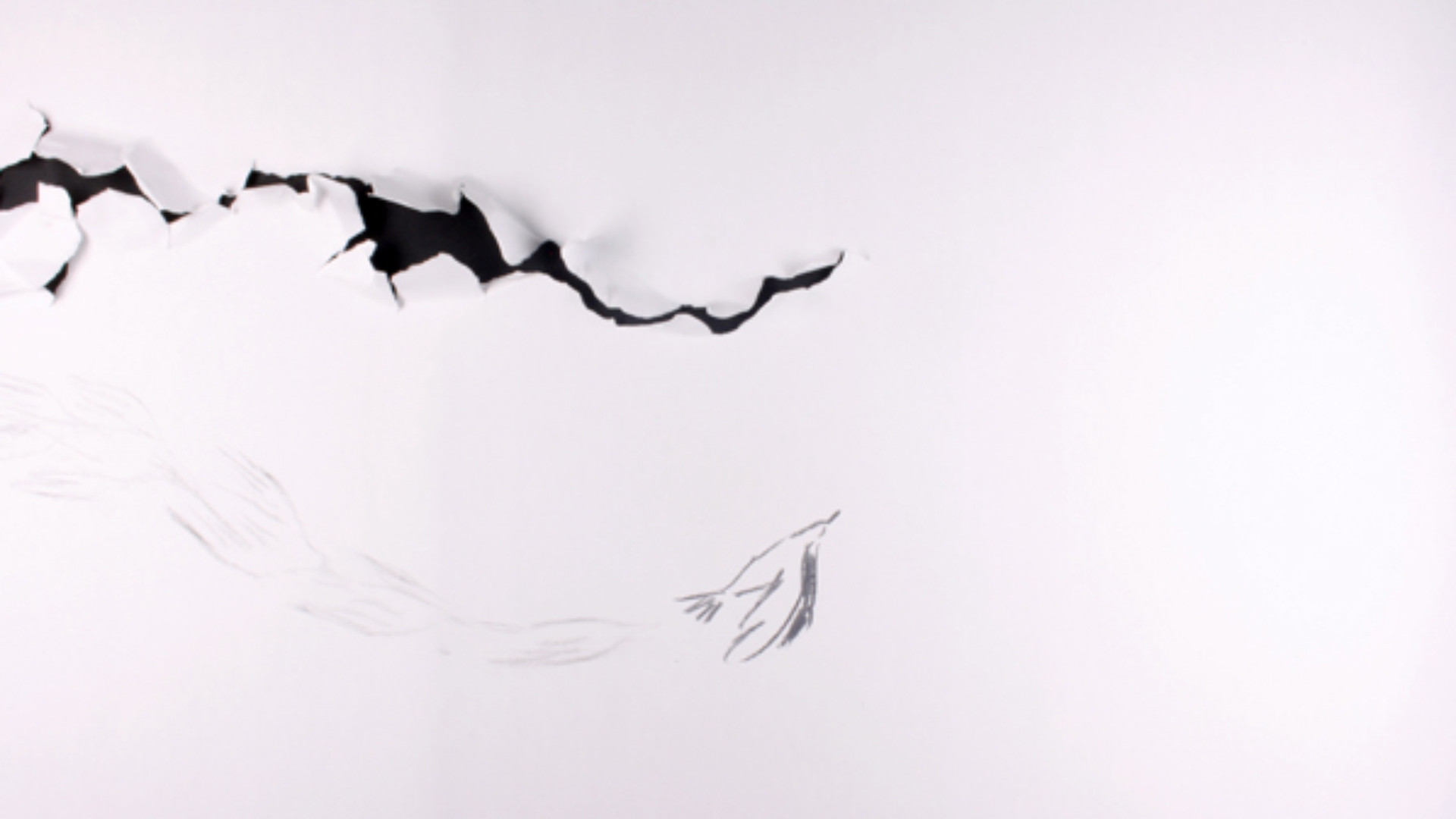 Film in Maribor - program kratkih filmov za odrasle