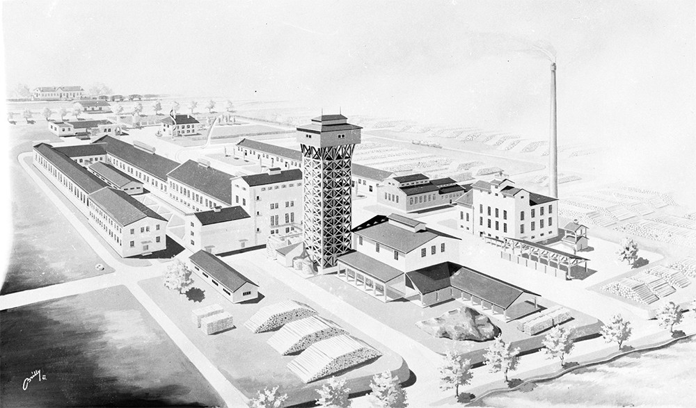 Fran Bonač in tovarna celuloze na Vidmu pri Krškem