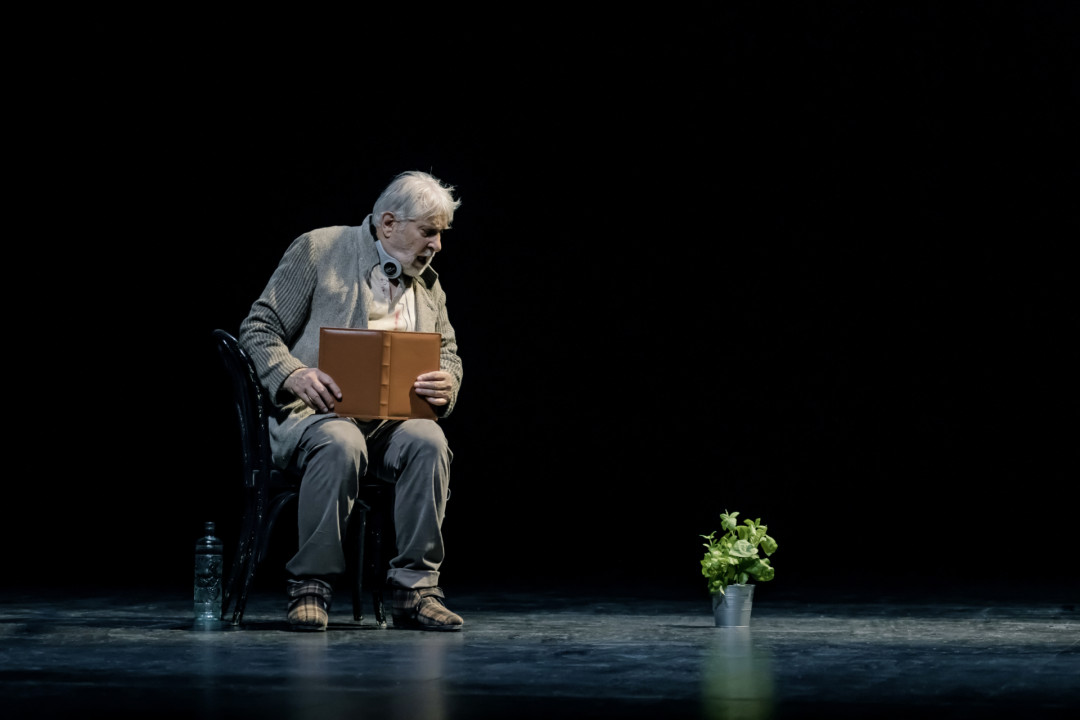 Gledališče Koper: Zadnje lune