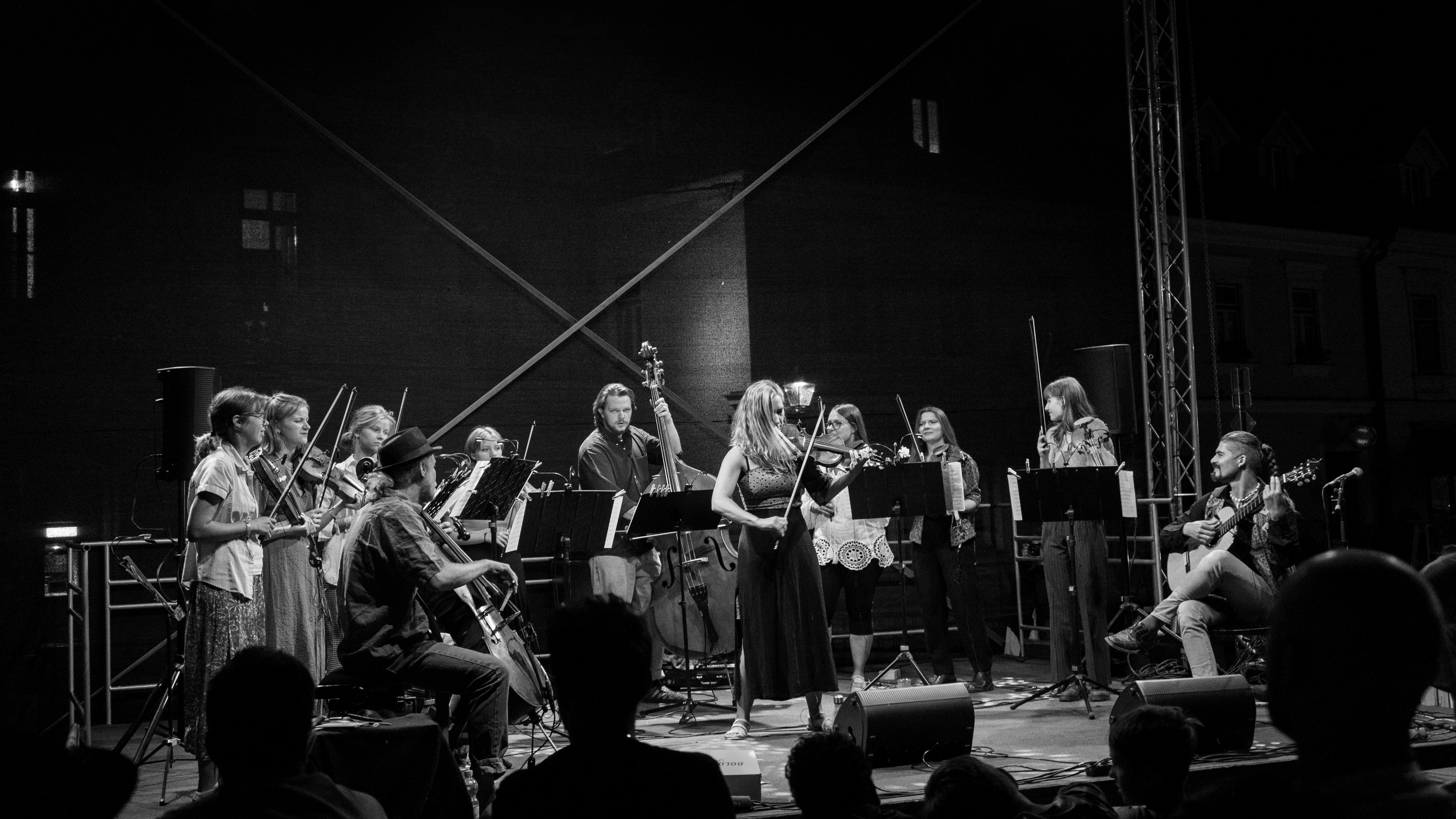 Godalkanje: Wild Strings Trio & Godalkanje Fiddle Gang