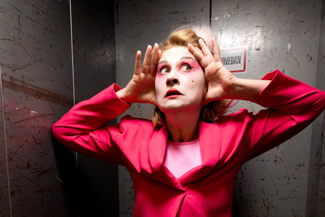 Gospodarji neumnosti