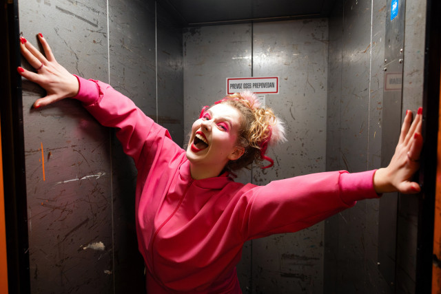 Gospodarji neumnosti