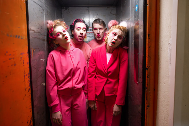 Gospodarji neumnosti