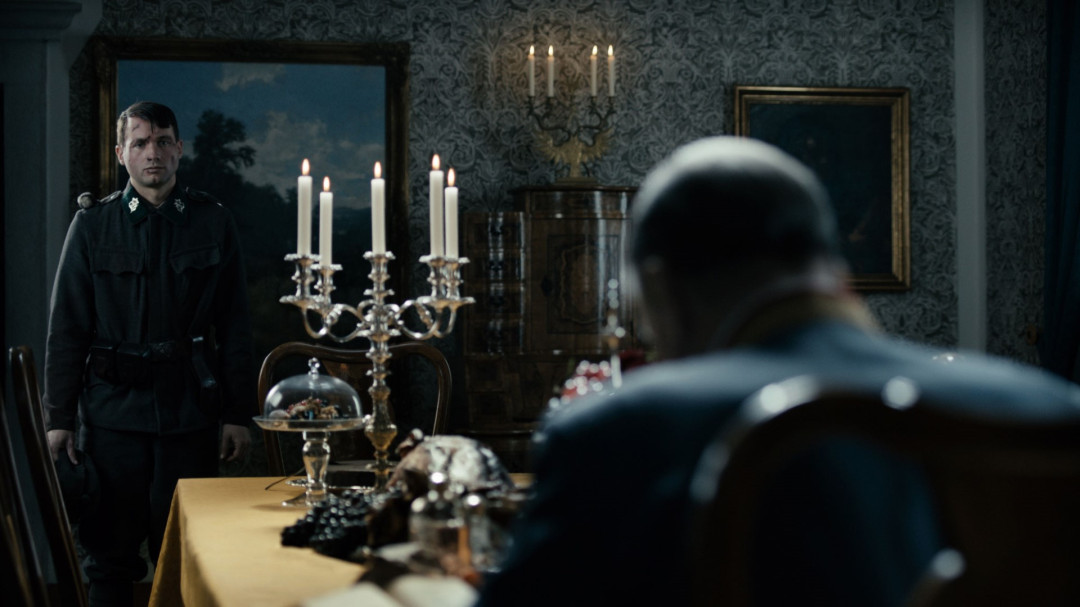 GOZDOVI SO ŠE VEDNO ZELENI