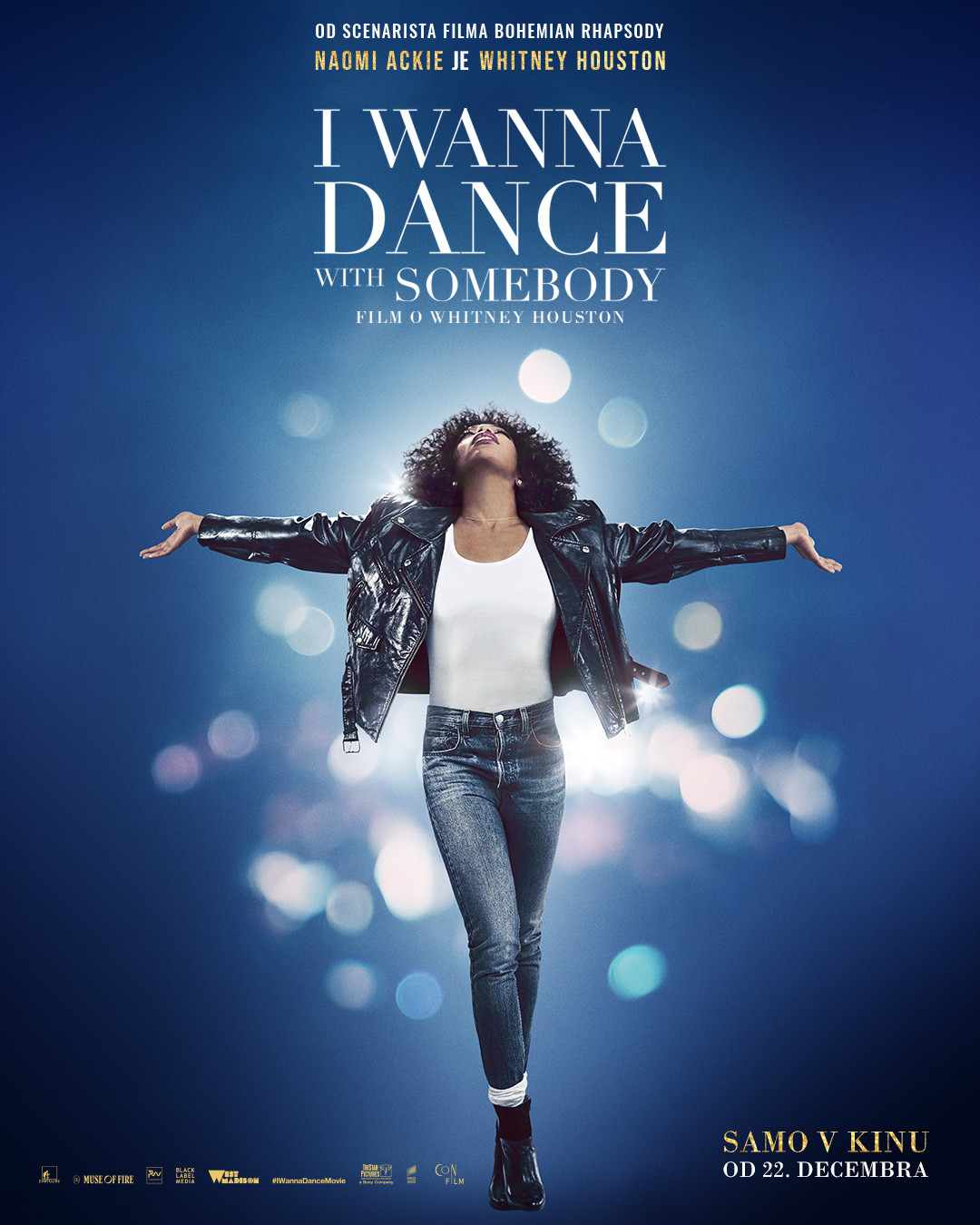 I wanna dance with somebody: Film o Whitney Houston