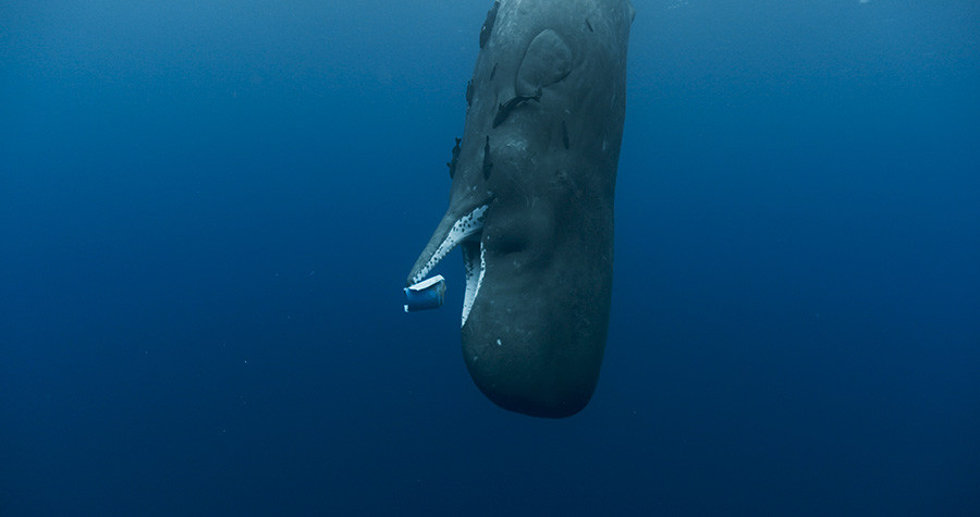 Kiti, varuhi planeta