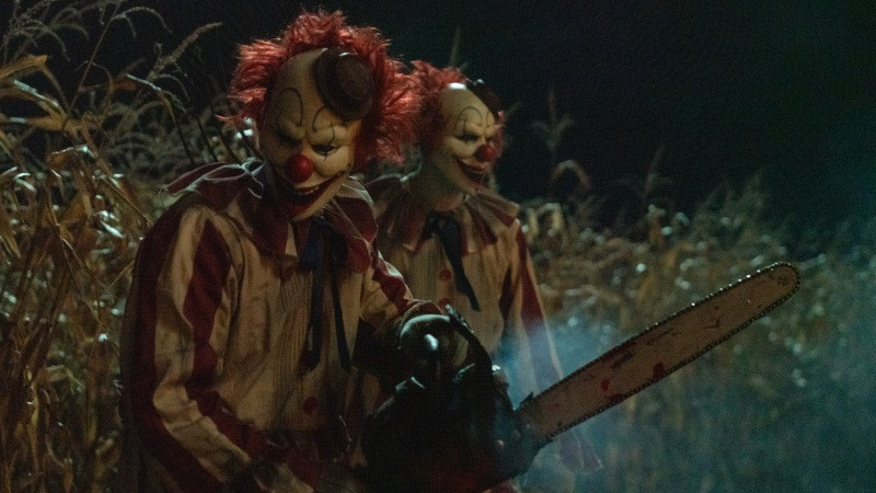 Klovn v koruznem polju