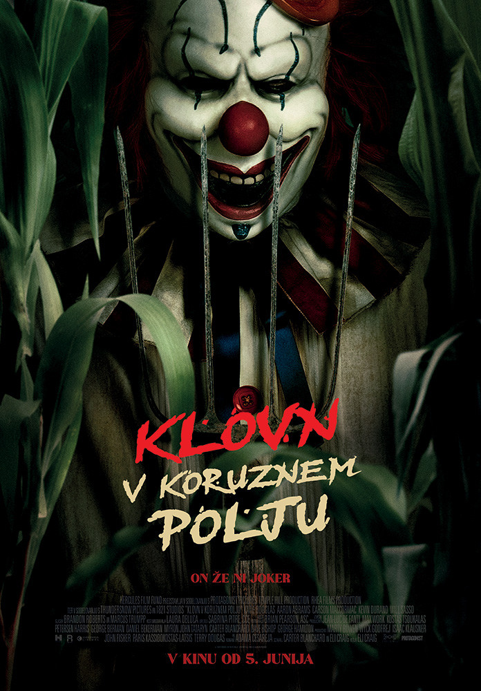 Klovn v koruznem polju