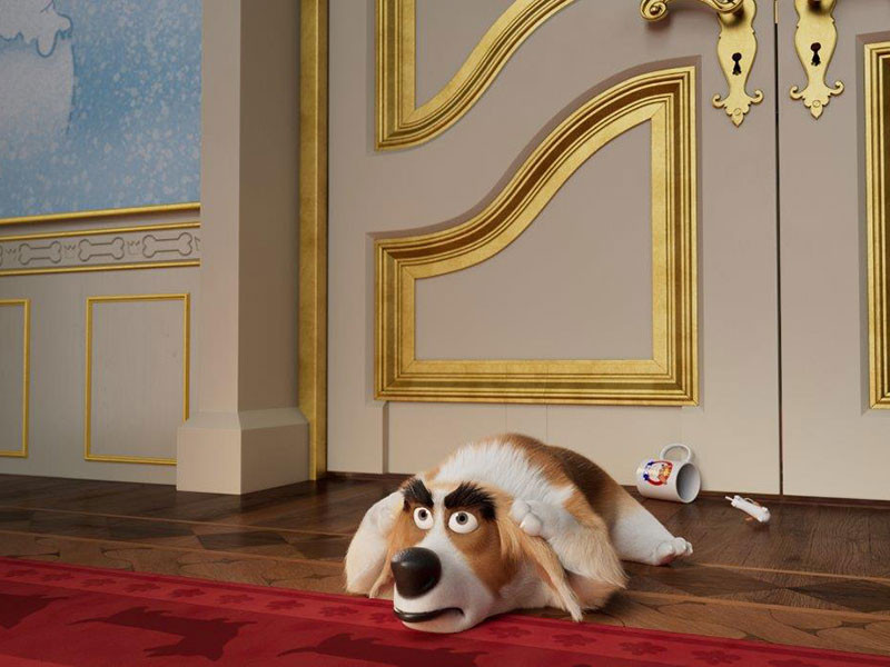 Korgi: Kraljevski kuža z velikim srcem