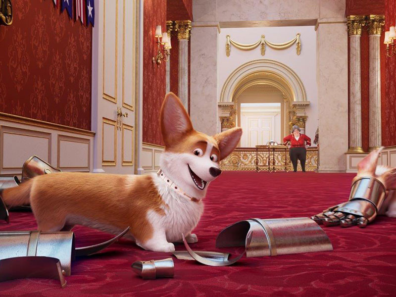 Korgi: Kraljevski kuža z velikim srcem