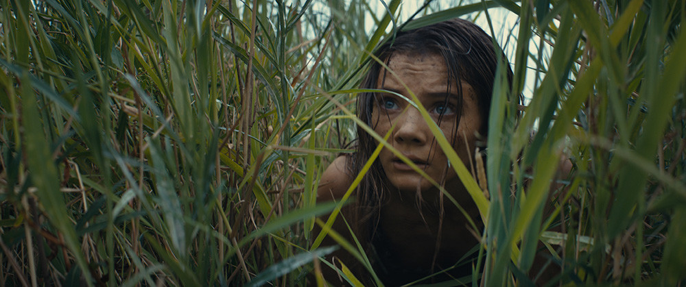 Kraljestvo planeta opic