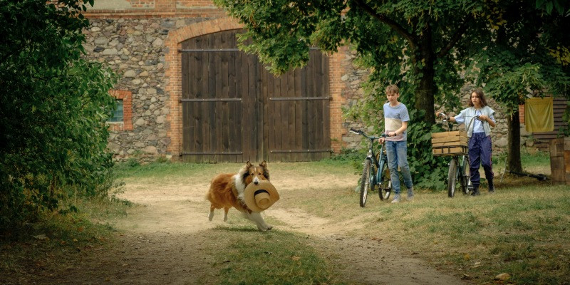 Lassie: Nova pustolovščina