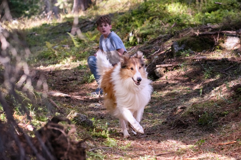 Lassie: Nova pustolovščina