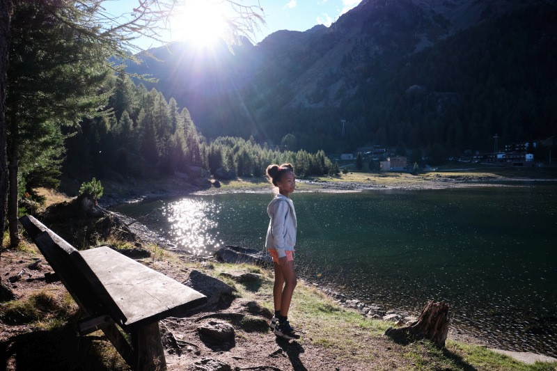 Lassie: Nova pustolovščina