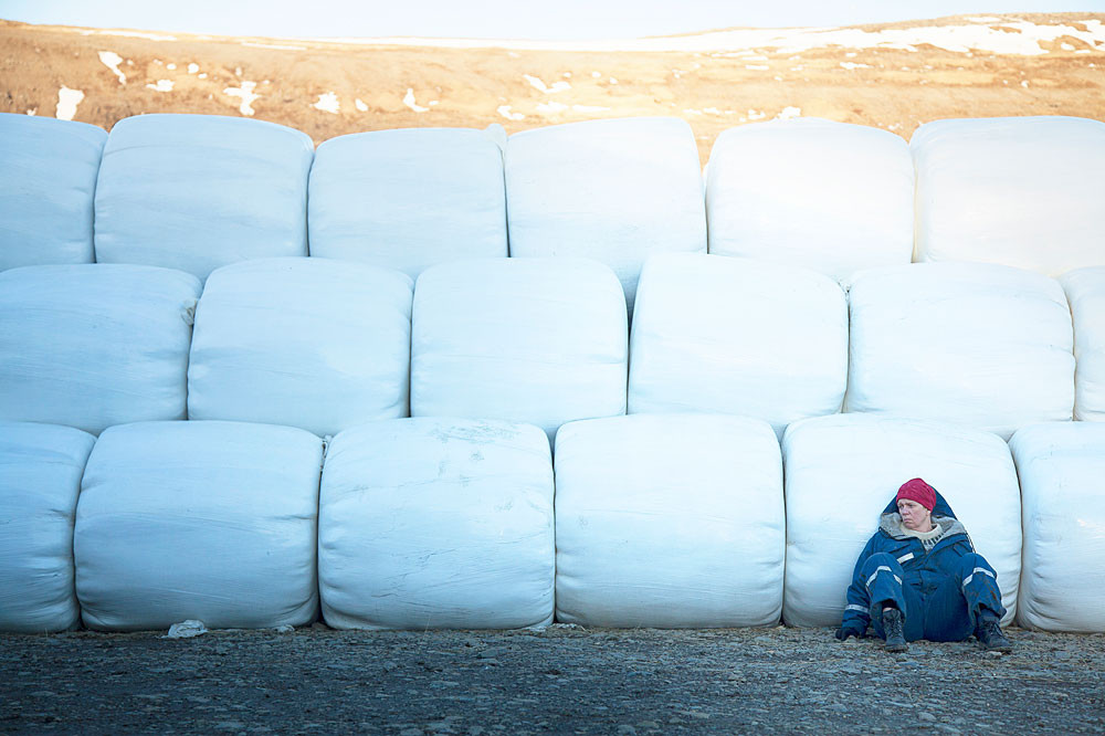 Letni kino na gradu Rajhenburg: Mleko