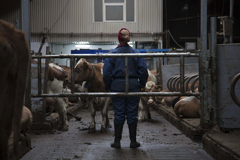 Letni kino na gradu Rajhenburg: Mleko