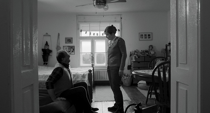 Letni kino na gradu Rajhenburg: Orkester