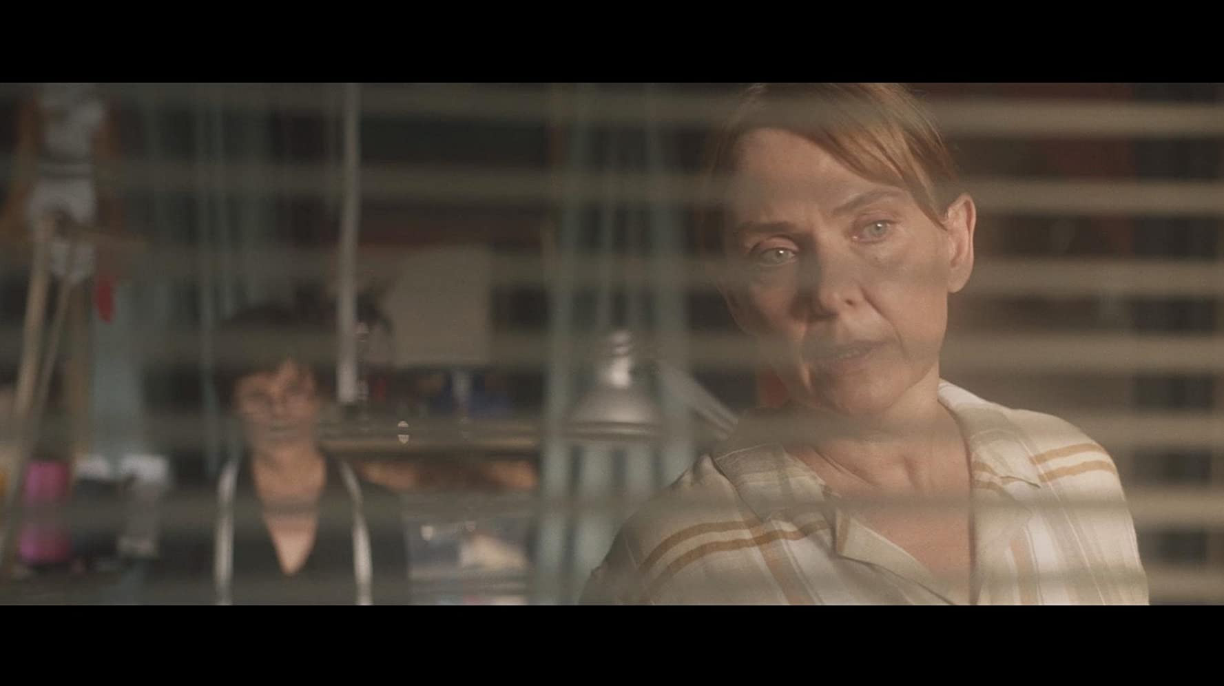 Letni kino na gradu Rajhenburg: Šivi