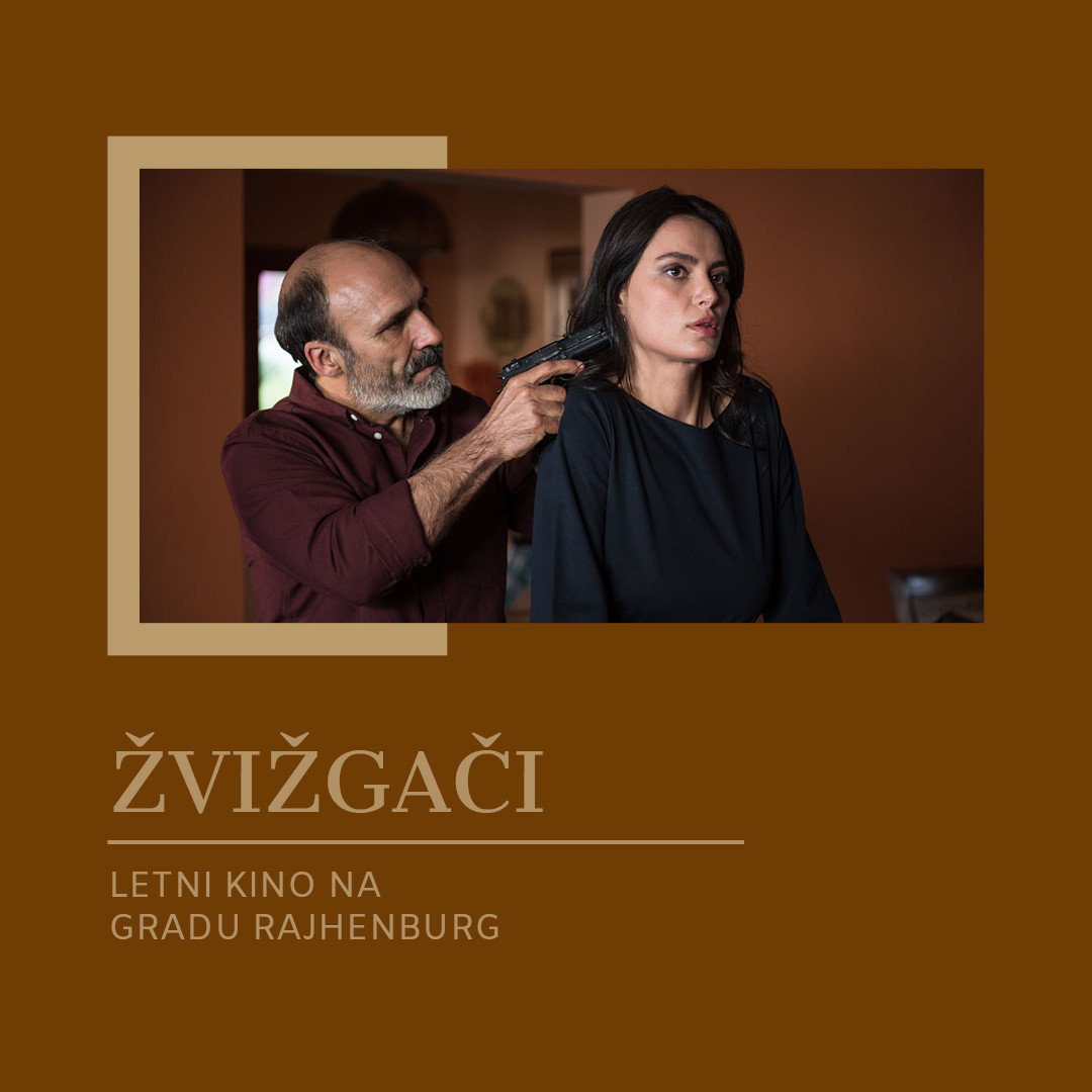 Letni kino na gradu Rajhenburg: Žvižgači