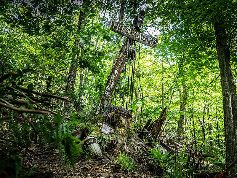 Mačje pokopališče