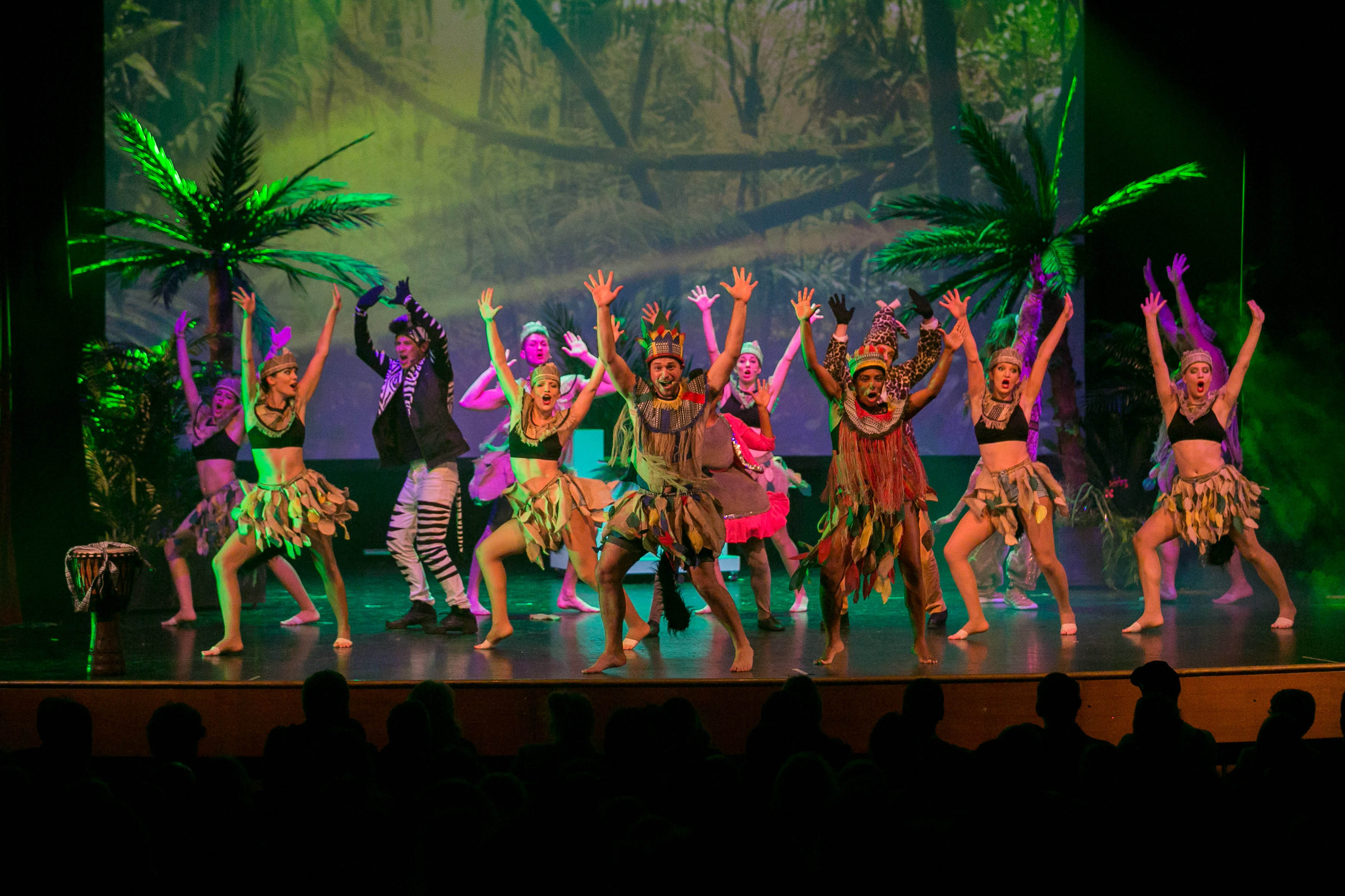 Madagascar - pustolovski muzikal