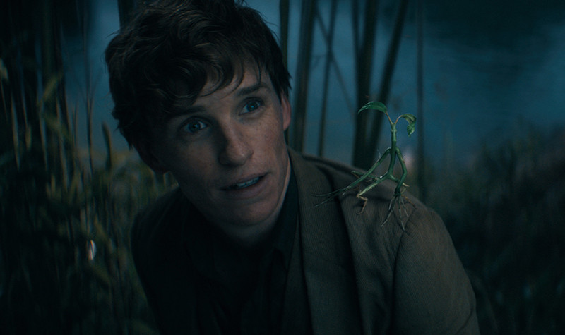 Magične živali: Dumbledorjeve skrivnosti