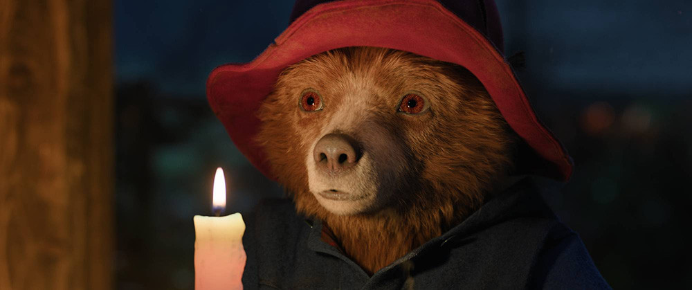 Medvedek Paddington v džungli