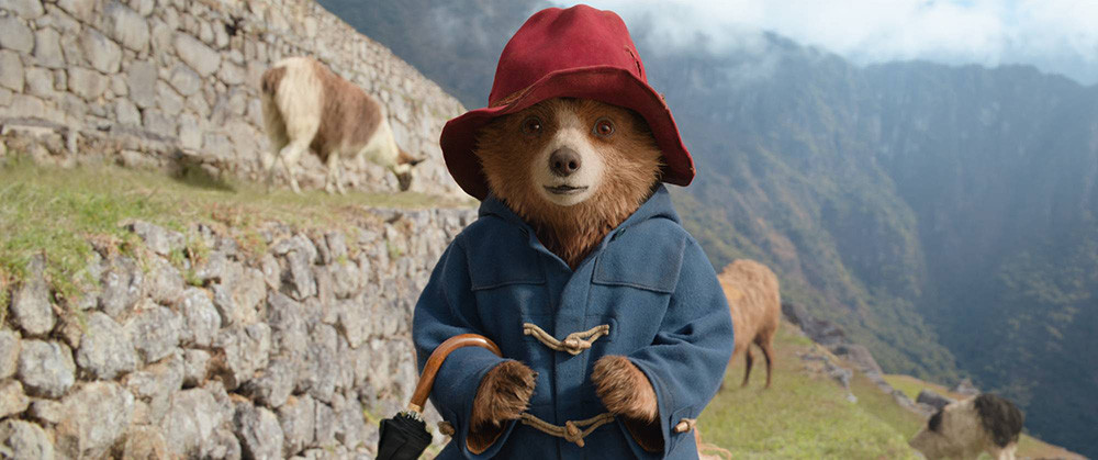 Medvedek Paddington v džungli