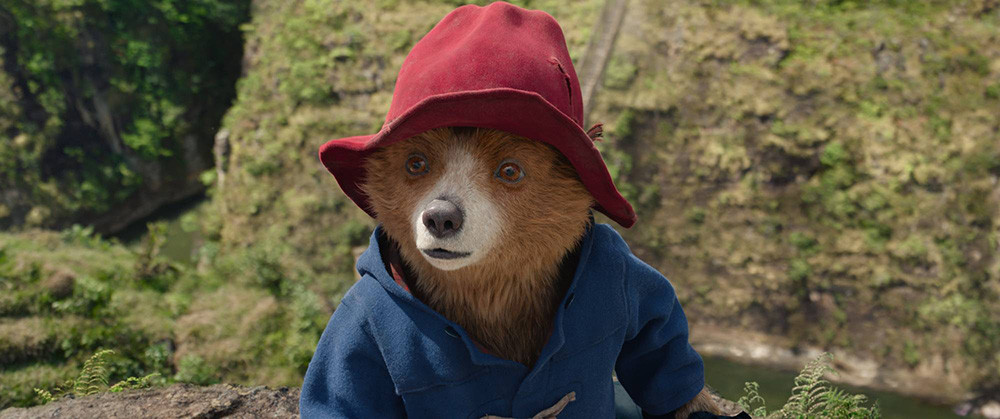 Medvedek Paddington v džungli