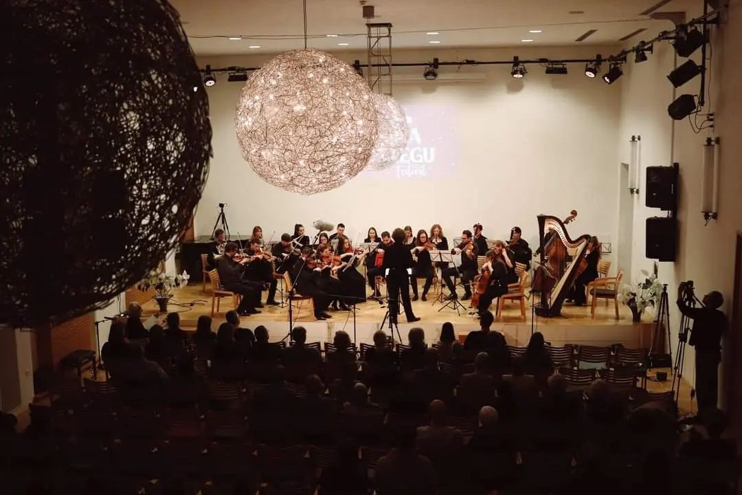 Orkester AMADEO s solisti