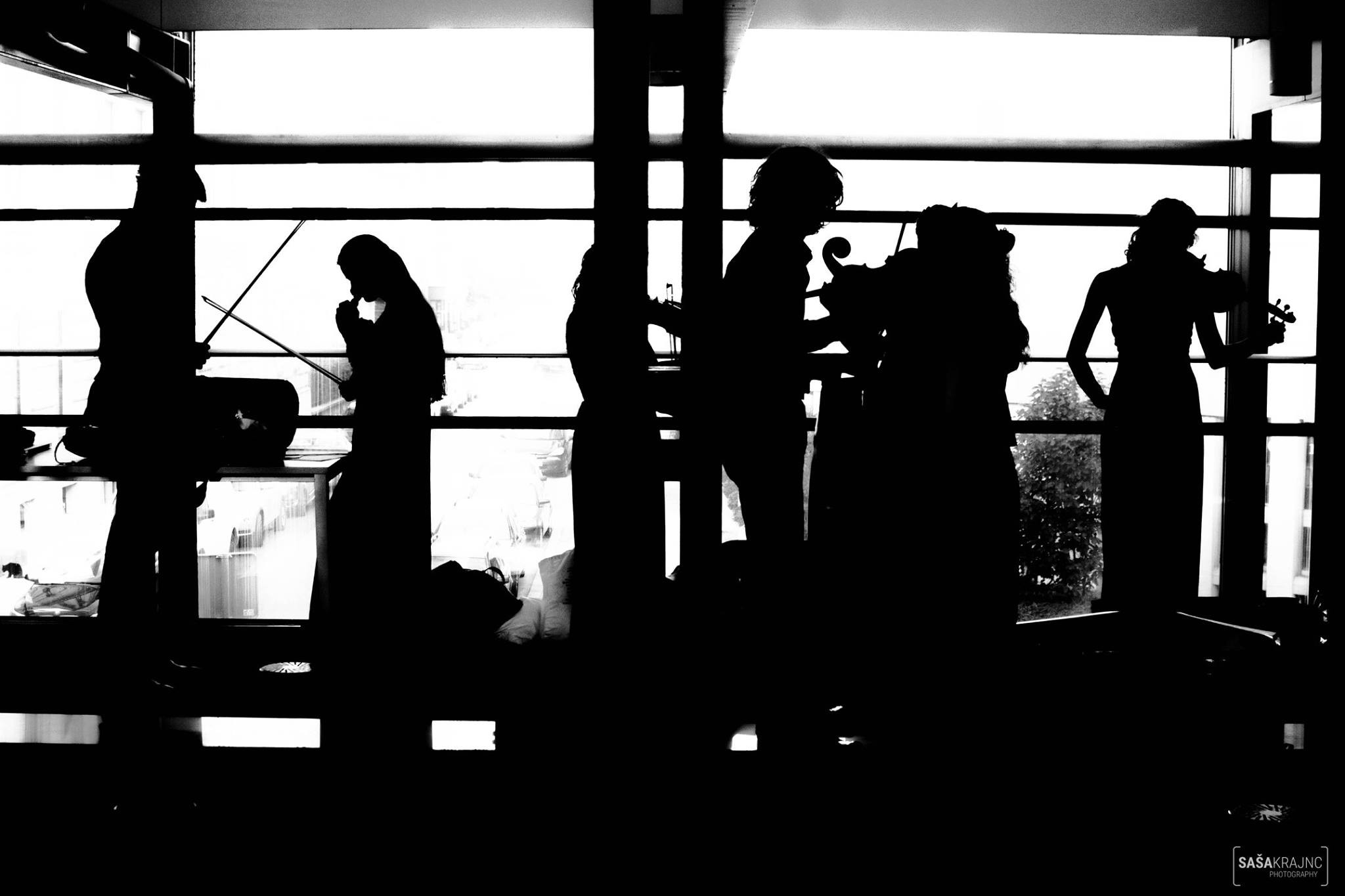 Orkester AMADEO s solisti