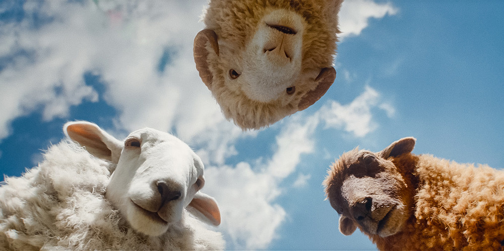 Ovce detektivke [sinhronizirano]