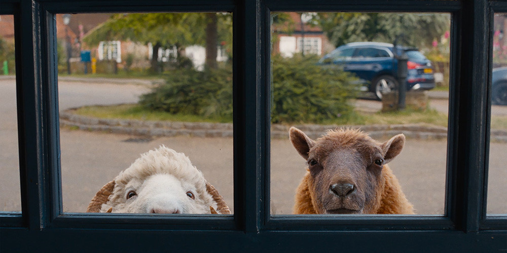 Ovce detektivke [sinhronizirano]