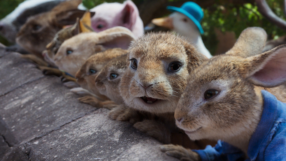 Peter Zajec: Skok v pustolovščino