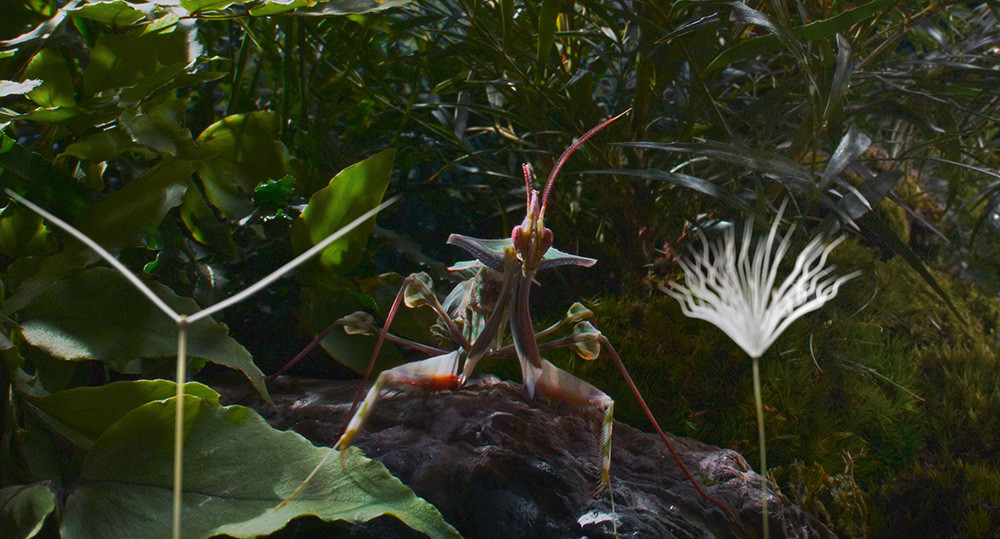 Potovanje regratove lučke