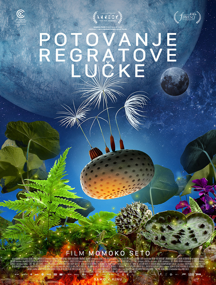 Potovanje regratove lučke